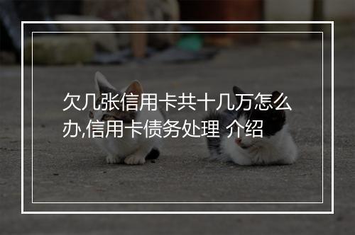 欠几张信用卡共十几万怎么办,信用卡债务处理 介绍