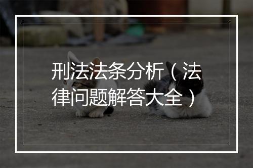 刑法法条分析（法律问题解答大全）
