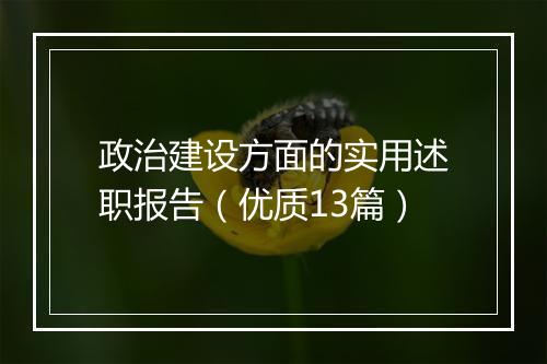 政治建设方面的实用述职报告（优质13篇）