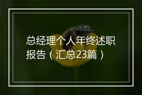 总经理个人年终述职报告（汇总23篇）