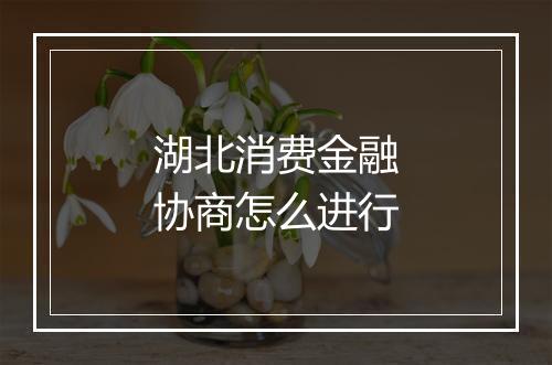 湖北消费金融协商怎么进行