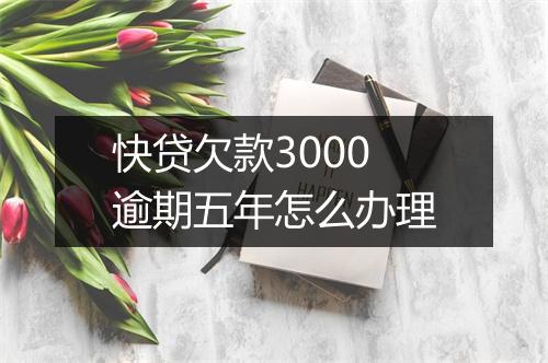 快贷欠款3000逾期五年怎么办理