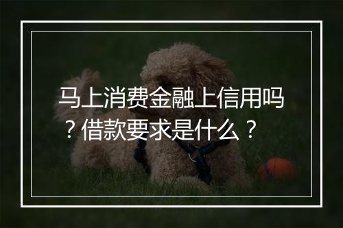 马上消费金融上信用吗？借款要求是什么？