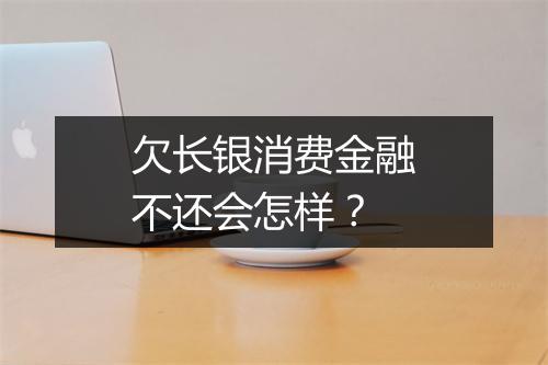 欠长银消费金融不还会怎样？