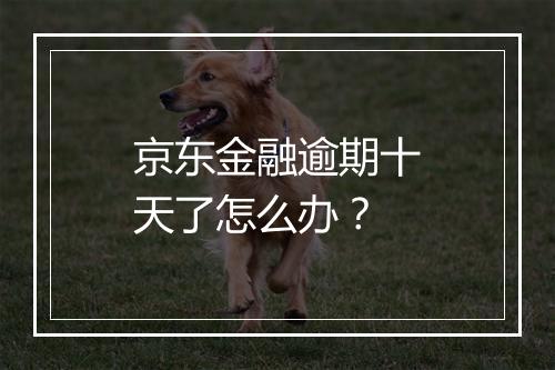 京东金融逾期十天了怎么办？