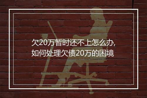 欠20万暂时还不上怎么办,如何处理欠债20万的困境