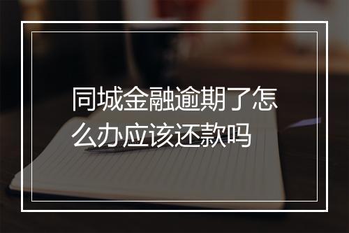 同城金融逾期了怎么办应该还款吗