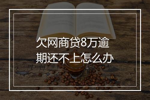欠网商贷8万逾期还不上怎么办