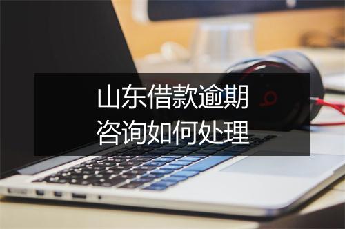 山东借款逾期咨询如何处理
