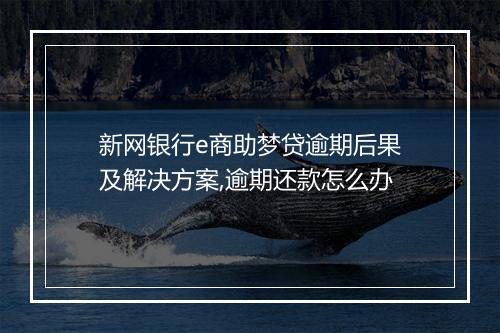 新网银行e商助梦贷逾期后果及解决方案,逾期还款怎么办