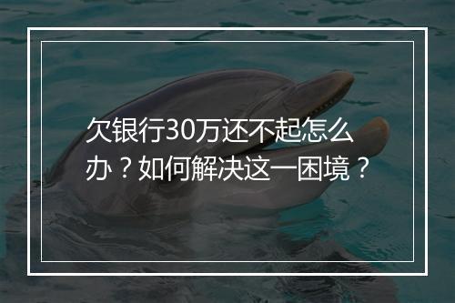 欠银行30万还不起怎么办？如何解决这一困境？