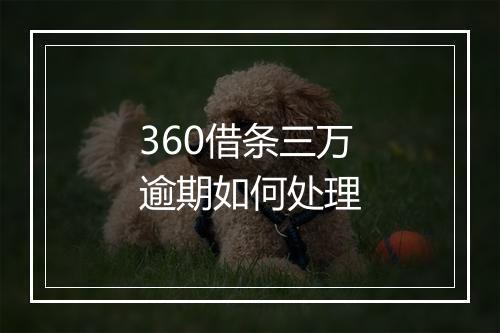 360借条三万逾期如何处理