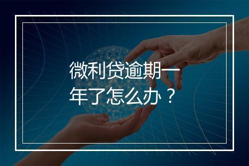 微利贷逾期一年了怎么办？