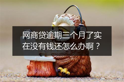 网商贷逾期三个月了实在没有钱还怎么办啊？