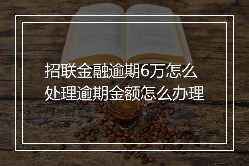 招联金融逾期6万怎么处理逾期金额怎么办理