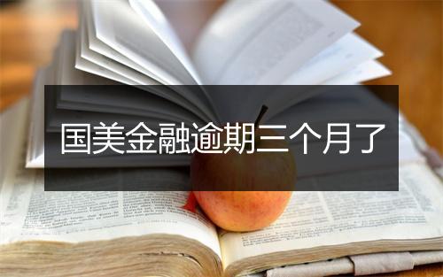 国美金融逾期三个月了
