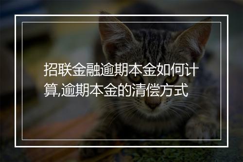 招联金融逾期本金如何计算,逾期本金的清偿方式