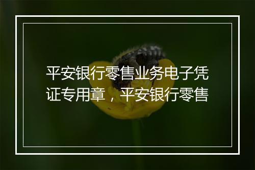 平安银行零售业务电子凭证专用章，平安银行零售