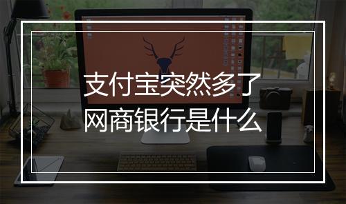 支付宝突然多了网商银行是什么