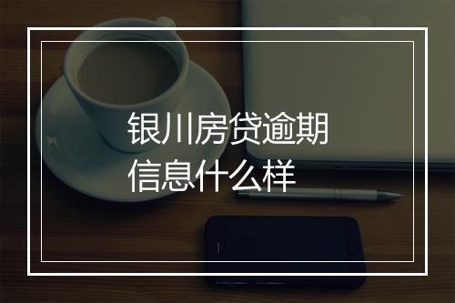 银川房贷逾期信息什么样
