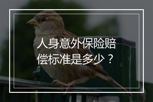 人身意外保险赔偿标准是多少？