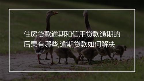 住房贷款逾期和信用贷款逾期的后果有哪些,逾期贷款如何解决