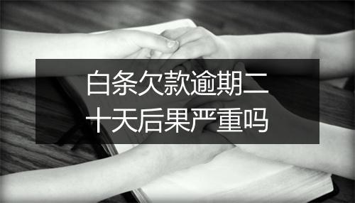 白条欠款逾期二十天后果严重吗