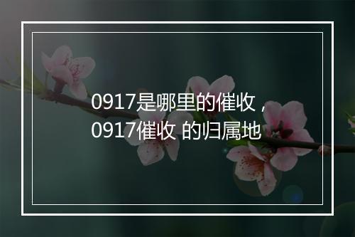 0917是哪里的催收 ,0917催收 的归属地