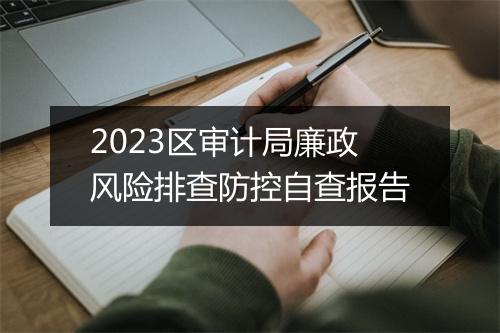 2023区审计局廉政风险排查防控自查报告