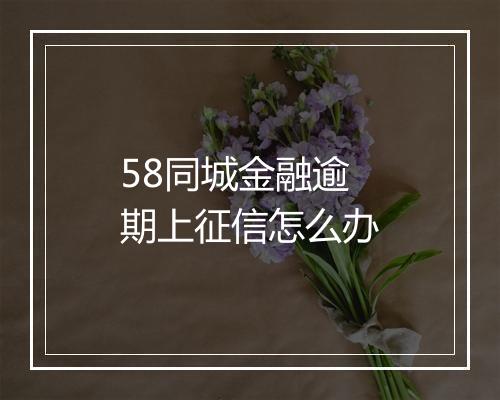 58同城金融逾期上征信怎么办