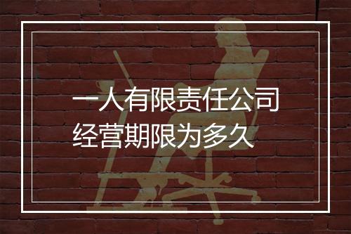 一人有限责任公司经营期限为多久