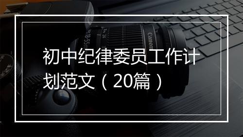 初中纪律委员工作计划范文（20篇）