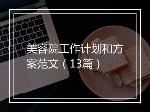 美容院工作计划和方案范文（13篇）
