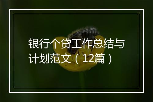 银行个贷工作总结与计划范文（12篇）