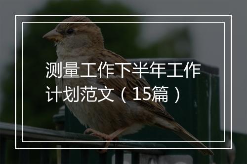 测量工作下半年工作计划范文（15篇）