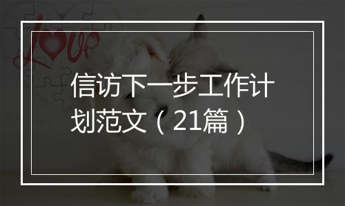 信访下一步工作计划范文（21篇）