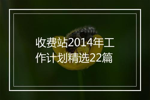收费站2014年工作计划精选22篇