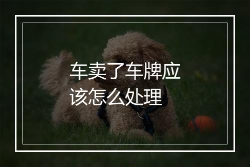 车卖了车牌应该怎么处理