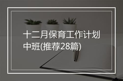 十二月保育工作计划中班(推荐28篇)