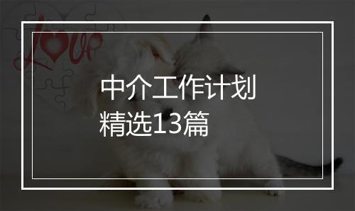 中介工作计划精选13篇