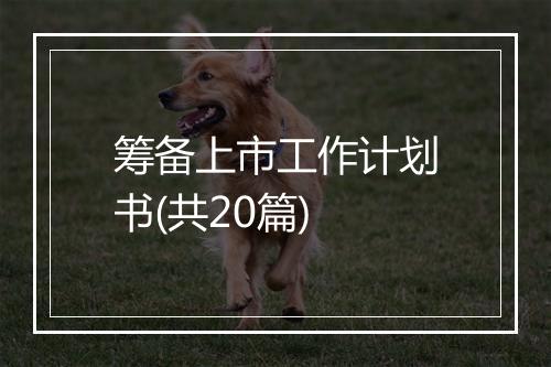 筹备上市工作计划书(共20篇)