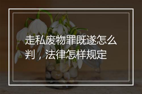 走私废物罪既遂怎么判，法律怎样规定
