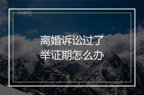 离婚诉讼过了举证期怎么办