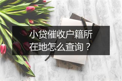 小贷催收户籍所在地怎么查询？