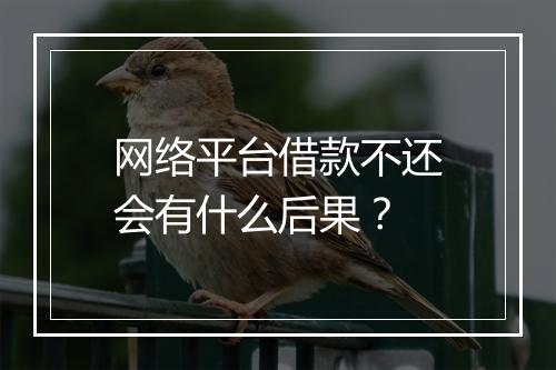 网络平台借款不还会有什么后果？