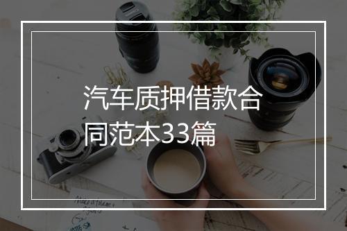 汽车质押借款合同范本33篇