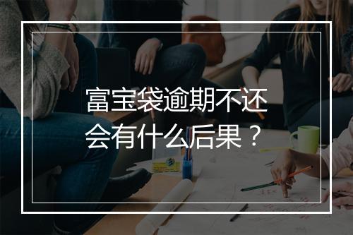 富宝袋逾期不还会有什么后果？