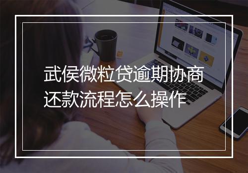 武侯微粒贷逾期协商还款流程怎么操作