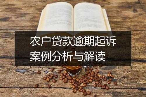 农户贷款逾期起诉案例分析与解读