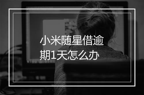 小米随星借逾期1天怎么办